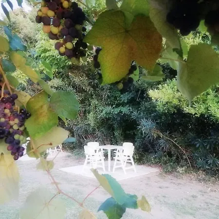 Appartement Semeli Ancient Stagira 4 Apts Chalkidiki *